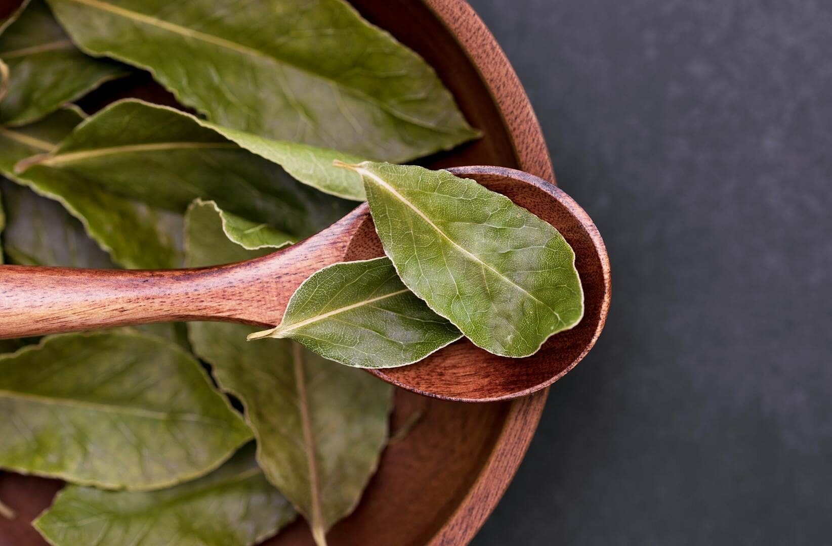 A detailed close-up of fresh bay leaves resting on a wooden spoon, emphasizing natural textures.