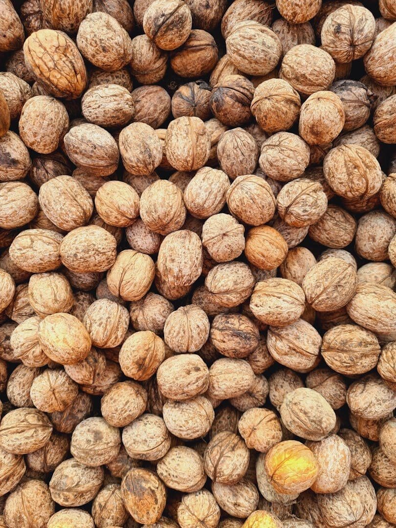 A vibrant vertical close-up of numerous dried walnuts in their shells, highlighting texture.