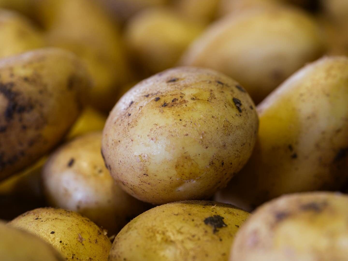 A close-up view of fresh, raw potatoes at a market stall. Perfect for healthy food concepts.