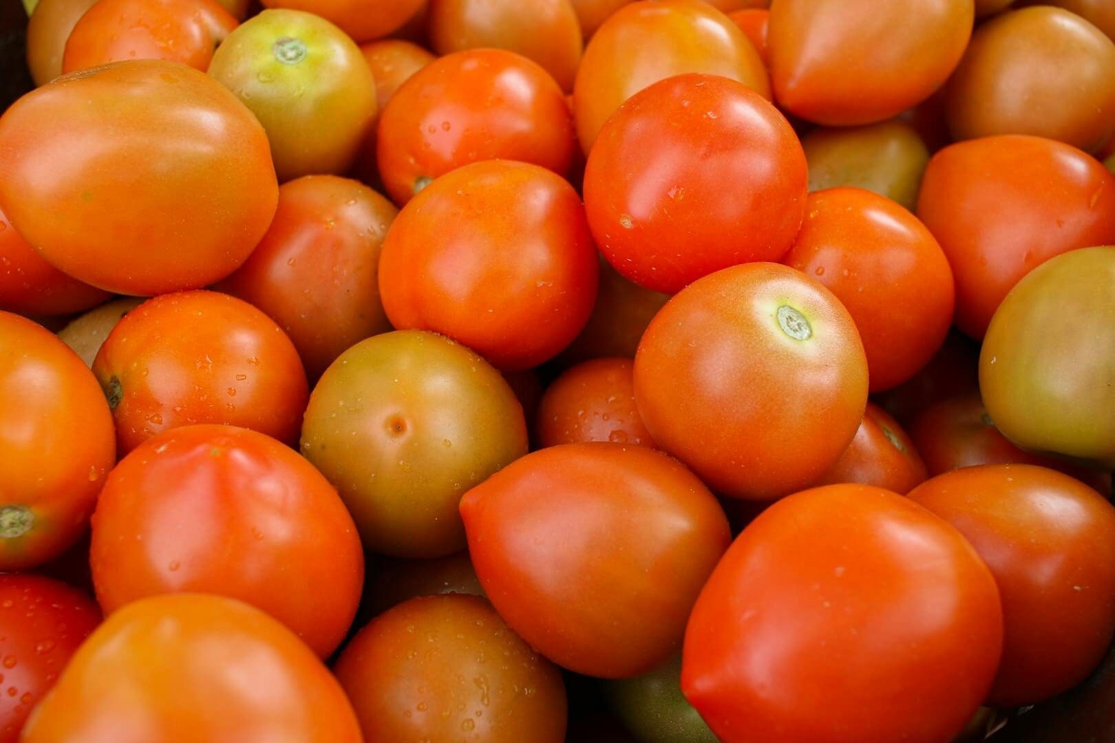 Close-up of ripe red tomatoes with water droplets showcasing freshness at a market display.