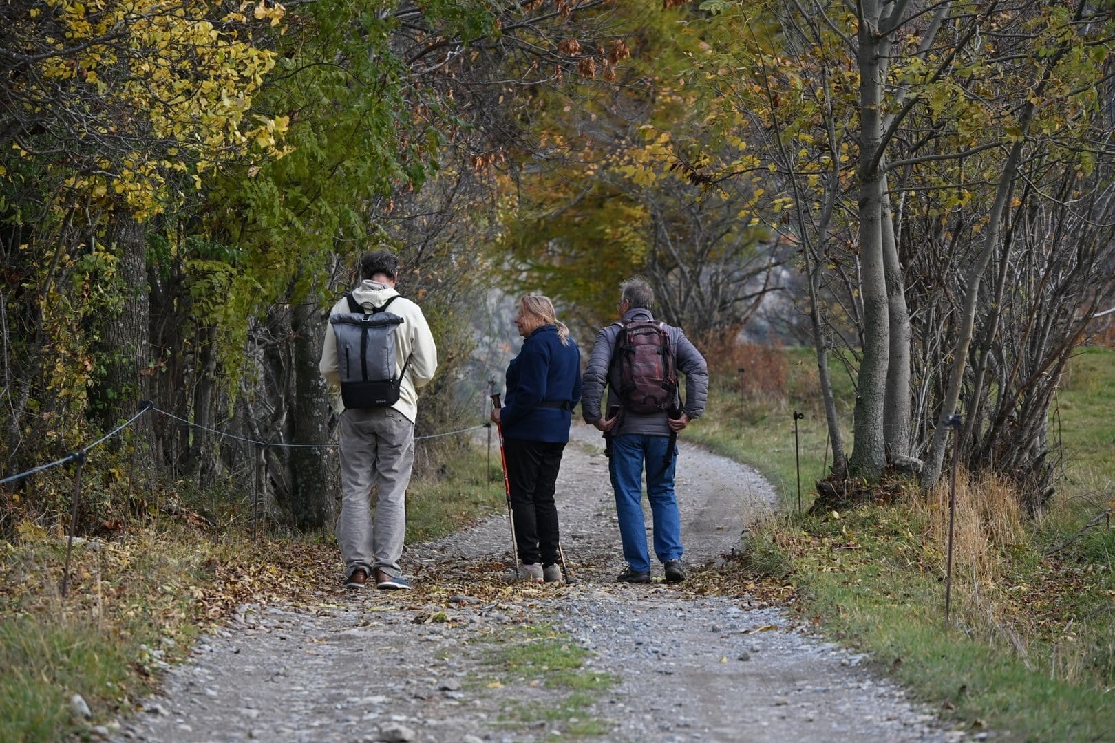 Three adults walking on a forest path during autumn, surrounded by colorful foliage.